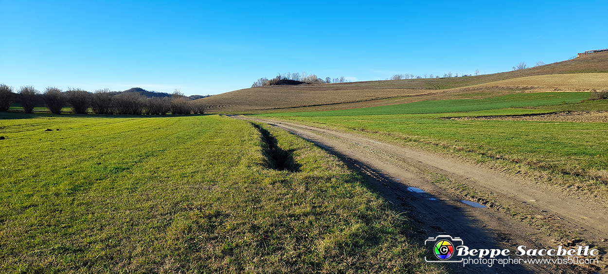 20230110_154508 - Dalla terra... il grano.jpg